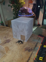 Коробка из матового оргстекла